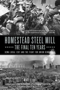 Homestead Steel Mill - The Final Ten Years - Stout, Mike