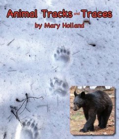 Animal Tracks & Traces - Mary Holland