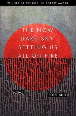 The Now Dark Sky, Setting Us All on Fire - Krut, Robert