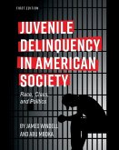 Juvenile Delinquency in American Society: Race, Class, and Politics