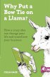 Why Put a Bow Tie on a Llama? - Bild 1