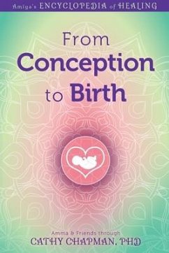 From Conception to Birth - Chapman, Cathy