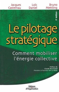 Le pilotage stratégique: Comment mobiliser l'énergie collective - Castelnau, Jacques; Daniel, Loïc; Mettling, Bruno