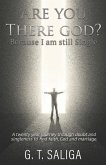 Are you there God? Because I am still single.: A twenty year journey through doubt and singleness to find faith, God and marriage.