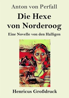 Die Hexe von Norderoog (Großdruck) - Perfall, Anton von