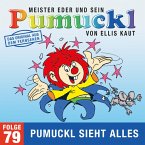 79: Pumuckl sieht alles (Das Original aus dem Fernsehen) (MP3-Download)