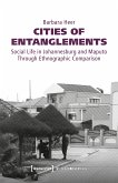 Cities of Entanglements (eBook, ePUB)