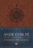 Ande com fé (eBook, ePUB)