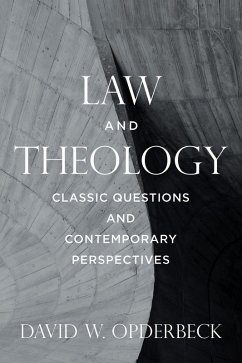 Law and Theology (eBook, ePUB) - Opderbeck, David W.