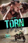 Torn by the Devil (Book 3) (eBook, ePUB)