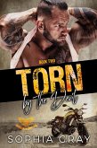 Torn by the Devil (Book 2) (eBook, ePUB)