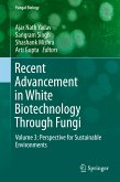 Recent Advancement in White Biotechnology Through Fungi (eBook, PDF)