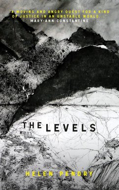 Cover The Levels (eBook, ePUB)