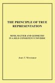 THE PRINCIPLE OF TRUE REPRESENTATION (eBook, ePUB)