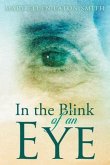 In the Blink of an Eye (eBook, ePUB)