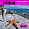 Iridea - Bild 1