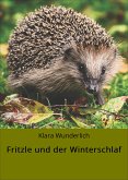 Fritzle und der Winterschlaf (eBook, ePUB)