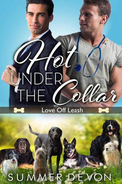 Hot Under the Collar (eBook, ePUB)