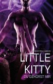 Little Kitty (eBook, ePUB)