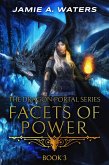 Facets of Power (The Dragon Portal, #3) (eBook, ePUB)