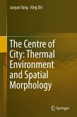 The Centre of City: Thermal Environment and Spatial Morphology (eBook, PDF)