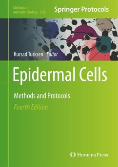 Epidermal Cells