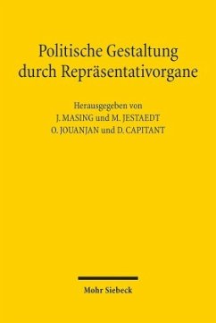 Politische Gestaltung durch Repräsentativorgane