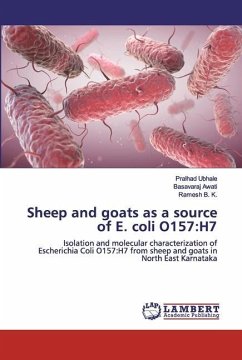Sheep and goats as a source of E. coli O157:H7