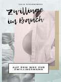 Zwillinge im Bauch (eBook, ePUB)