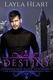 Destiny (Lughnasadh Elite Academy, #9) (eBook, ePUB) Destiny (Lughnasadh Elite Academy, #9) (eBook, ePUB)