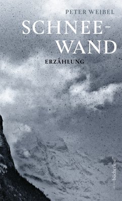 Schneewand (eBook, ePUB) - Weibel, Peter