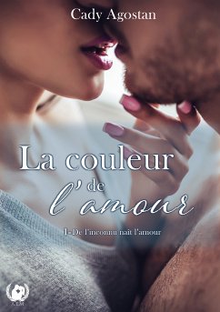 La couleur de l'amour - Tome 1 (eBook, ePUB) - Agostan, Cady