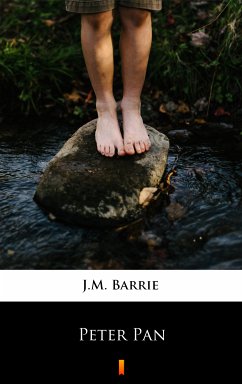 Peter Pan (eBook, ePUB) - Barrie, J.M.