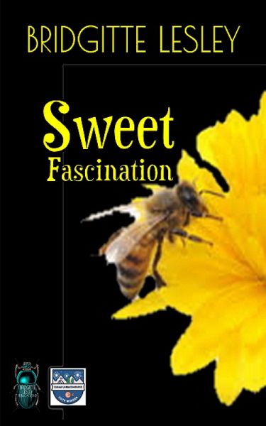 Sweet Fascination (eBook, ePUB)