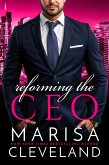Reforming the CEO (eBook, ePUB) Reforming the CEO (eBook, ePUB)