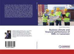Business climate and financial performance of SMEs in Cameroon