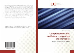 Comportement des matériaux composites endommagés - Yamina, Chahraoui;Boualem, Serier