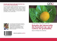 Estudio del desarrollo de Fusarium sp. en el cultivo de granadilla - Acosta Trinidad, Luis Tibhy;Azania Fabian, Deysi K.