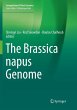 The Brassica napus Genome - Bild 1