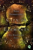 Die Kraft der Erde / City of Elements Bd.2