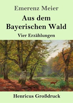 Aus dem Bayerischen Wald (Großdruck) - Meier, Emerenz