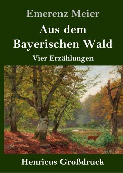 Aus dem Bayerischen Wald (Großdruck) - Meier, Emerenz