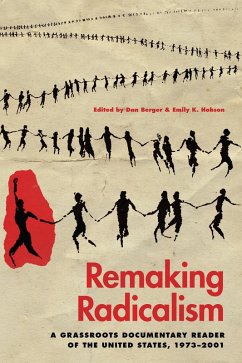 Remaking Radicalism (eBook, ePUB)