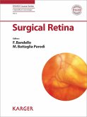 Surgical Retina (eBook, ePUB)