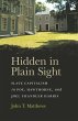 Hidden in Plain Sight (eBook, ePUB) - Bild 1
