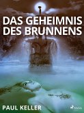 Das Geheimnis des Brunnens (eBook, ePUB)