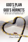 God's Plan and God's Hornets