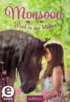 Wind in der Mähne / Monsoon Bd.1 (eBook, ePUB) - Tan, Joël