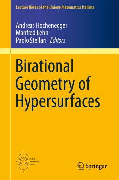 Birational Geometry of Hypersurfaces (eBook, PDF)