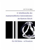 6. Schriftenreihe des staatsanwaltlichen Autorendienstes des Kantons Zürich (eBook, ePUB)